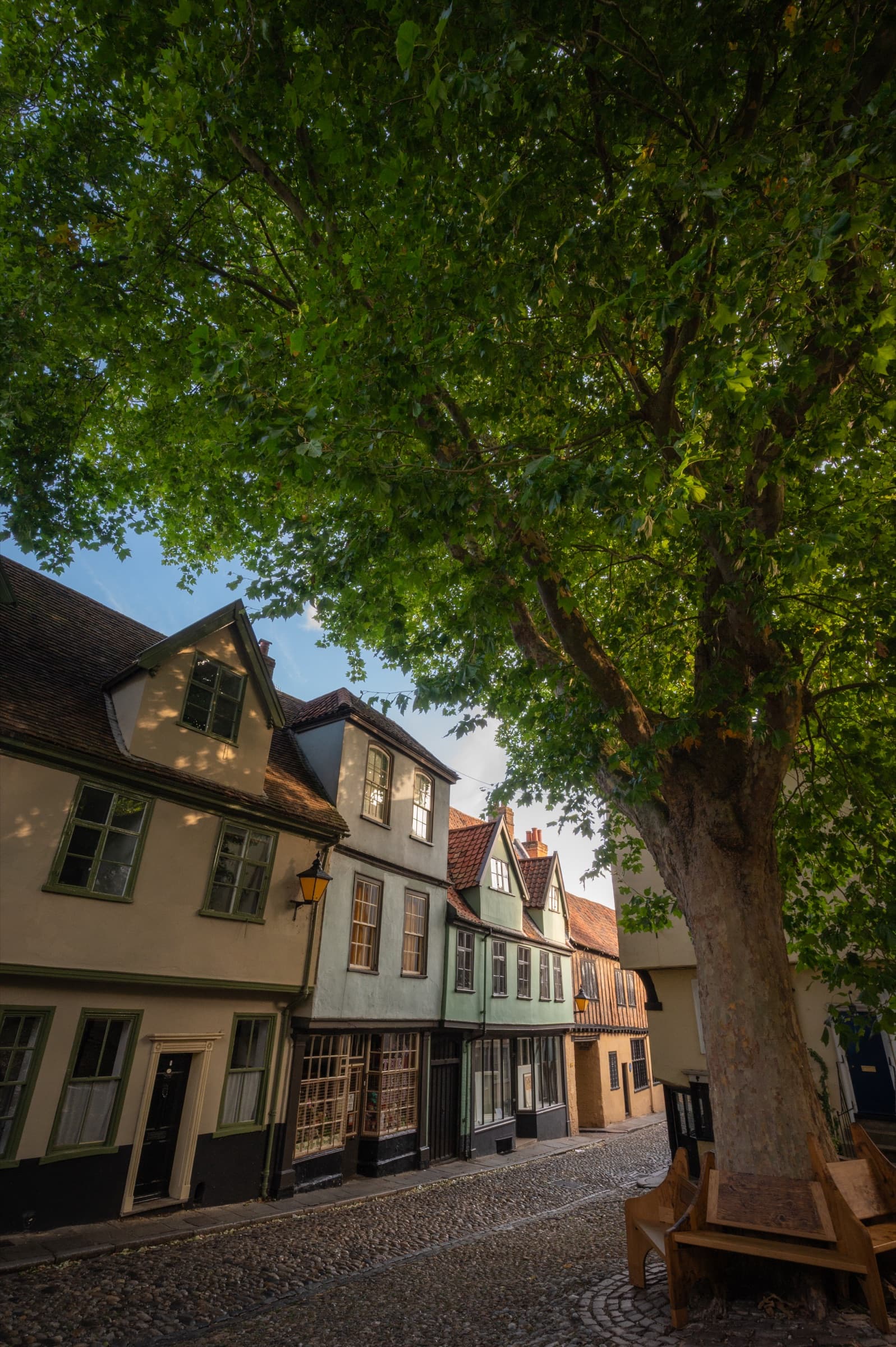 Elm Hill, Norwich